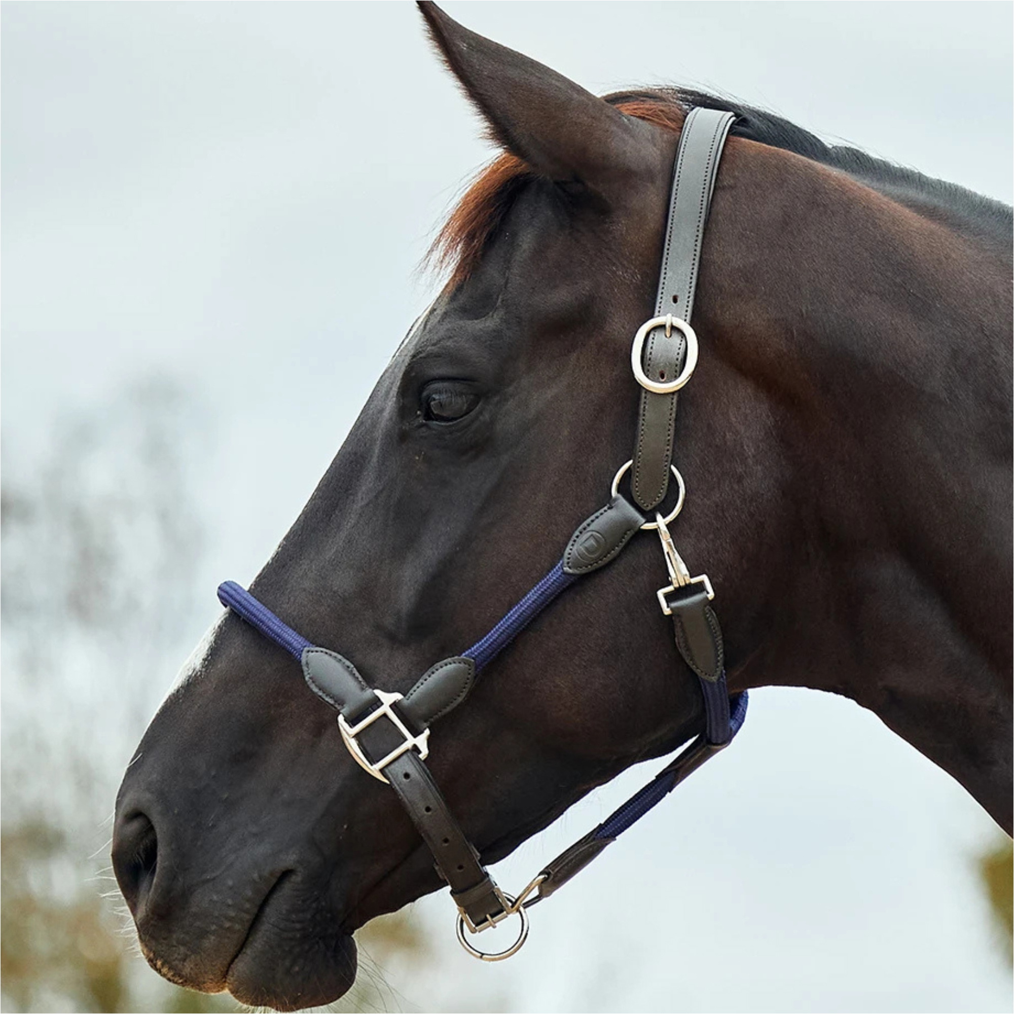 2026 Dublin Lederen Touw Halster 1031533 - Navy / Bruin
